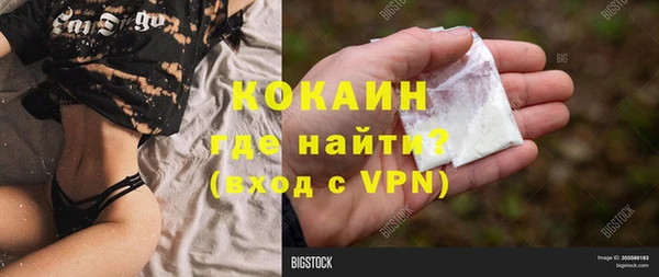 шишки Бородино