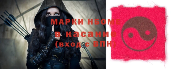шишки Бородино