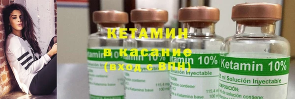 шишки Бородино