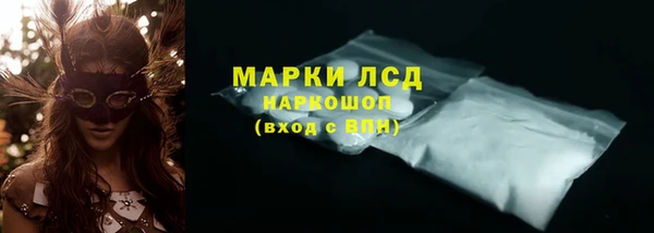 шишки Бородино