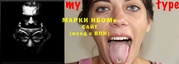 шишки Бородино