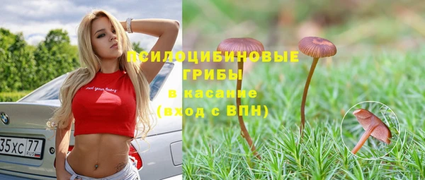дживик Бугульма