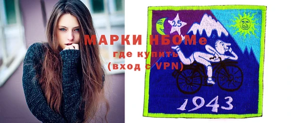 шишки Бородино