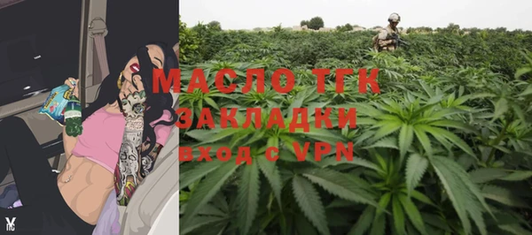 шишки Бородино