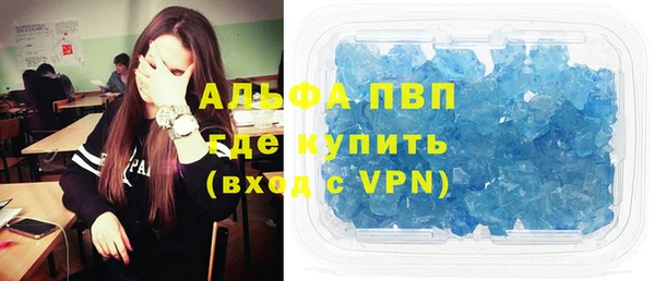 шишки Бородино