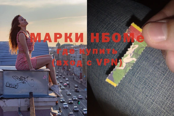 шишки Бородино