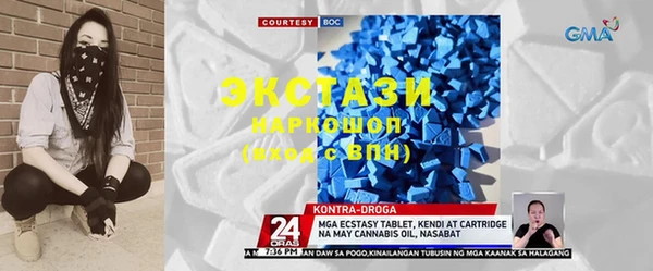 шишки Бородино